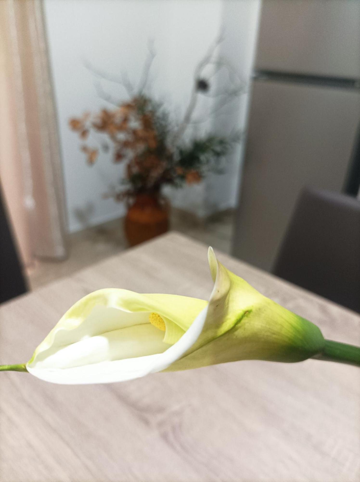 L'Ulivo Apartment Масафра Екстериор снимка